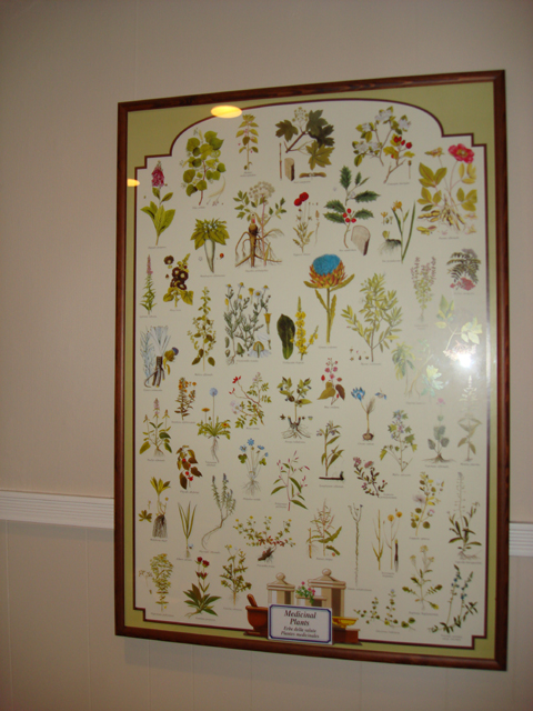 OfficeCleaningNewtonMA (60)
